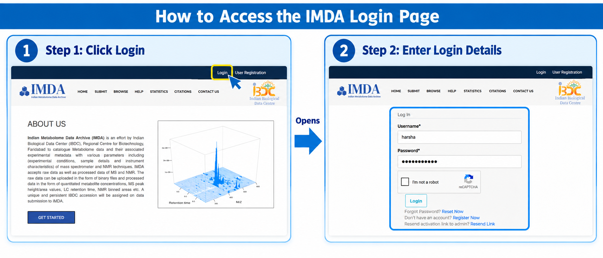 How to access the IMDA login page and enter login details.